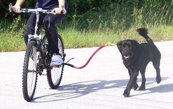 Cycle Safely With Your Dog Thanks To The Bike Tow Leash