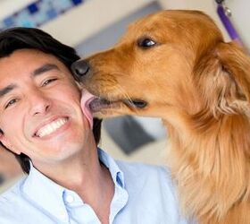 Study Finds Owning A Dog Is Beneficial To Your Heart
