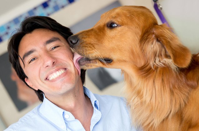 study finds owning a dog is beneficial to your heart