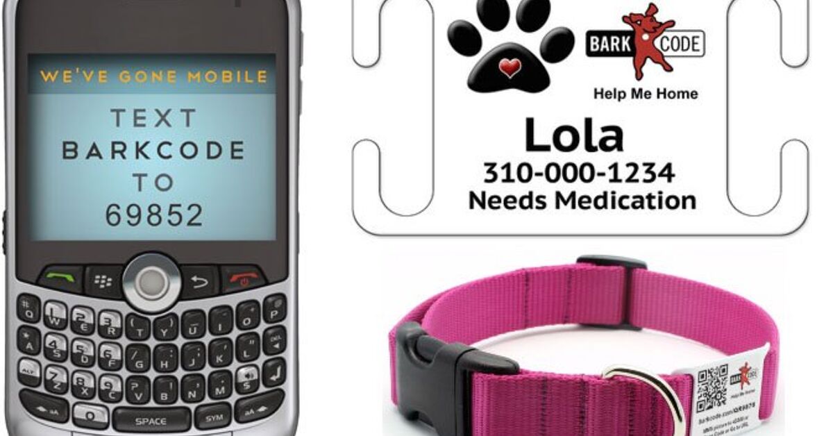 Barkcode BarkCode Helps Lost Dogs Get Home Quicker | PetGuide