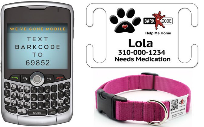 barkcode helps lost dogs get home quicker
