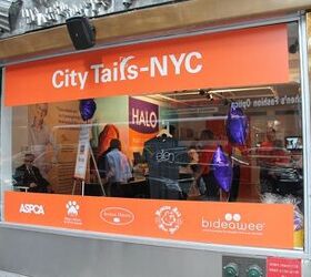Halo Hosts NYC Pop Up Shop to “Do Good” for Pets