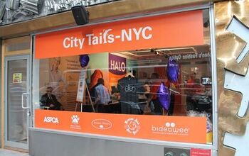 Halo Hosts NYC Pop Up Shop to “Do Good” for Pets