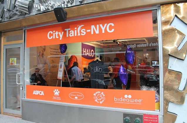halo hosts nyc pop up shop to do good for pets