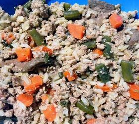 luckys-mmmmeaty-homemade-dog-stew-recipe-petguide