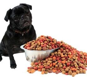 What You Need To Know About Dog Food Labels