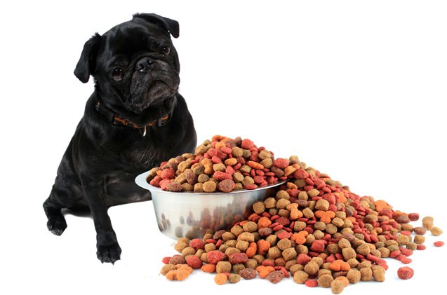 what you need to know about dog food labels