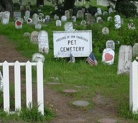 Honor Pets That Have Passed Sunday During National Pet Memorial Day