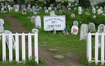 Honor Pets That Have Passed Sunday During National Pet Memorial Day