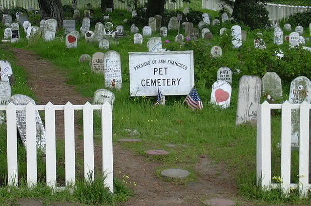 honor pets that have passed sunday during national pet memorial day