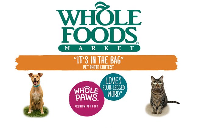 whole foods market launches whole paws line of premium pet food