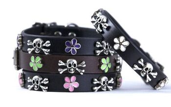 Mix It Up With A Charming Woof-Linx Collar