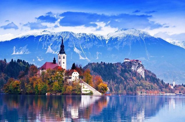 dream job contest slovenian castle is looking for dog and owner caretaker