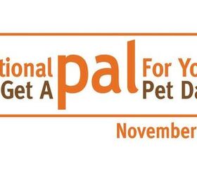Celebrate “National Get a Pal for Your Pet Day” On November 19 [Vi