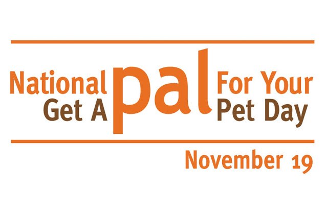 celebrate national get a pal for your pet day on november 19 vi
