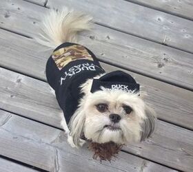 It’s Duck Season! PetGuide Gets Happy, Happy, Happy For Duck Dynasty