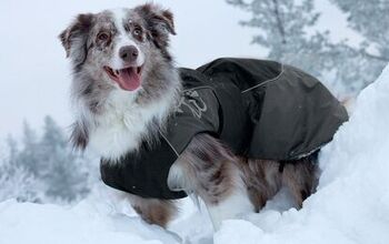 Turn Up The Heat With Winter Coats For Dogs
