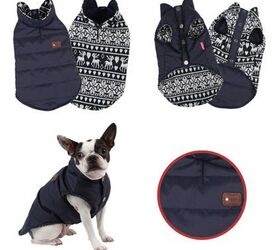 turn up the heat with winter coats for dogs