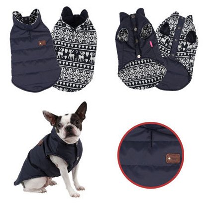 turn up the heat with winter coats for dogs