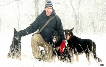 Let It Snow: Getting Ready To Make The Most Of Winter With Your Dog