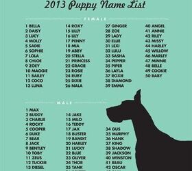 Princess deals dog names