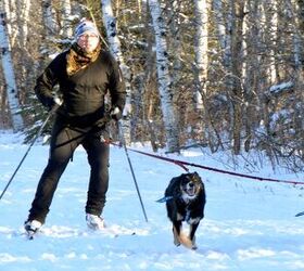 winter training tips getting started in skijoring