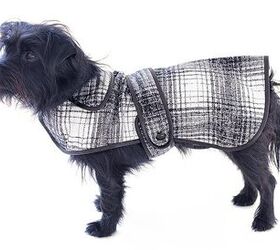 Oscar De La Renta Launches New Designer Coats For Dogs