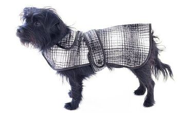 Oscar De La Renta Launches New Designer Coats For Dogs