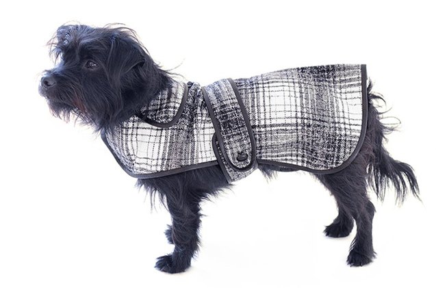 oscar de la renta launches new designer coats for dogs