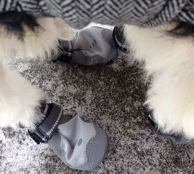 product review ruffwear summit trex dog boots