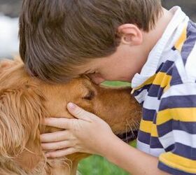 Helping A Child Cope With A Loss Of A Pet