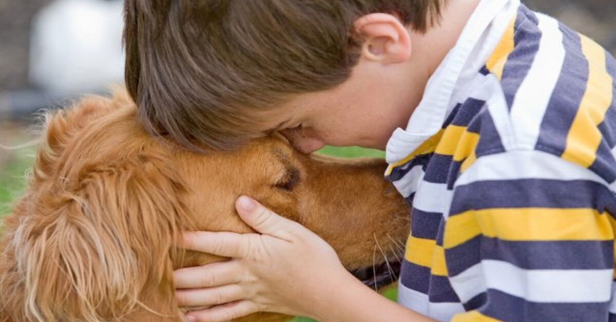 Helping A Child Cope With A Loss Of A Pet PetGuide helping-a-child-cope-with-a-loss-of-a-pet-petguide