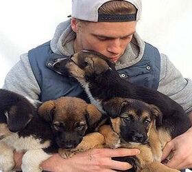 Olympic Skier Gus Kenworthy Hopes To Bring Home Four Sochi Stray Pups