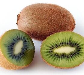 top 10 what fruits can dogs eat