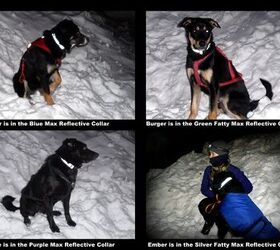 product review cycle dog max reflective collars