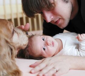 How To Introduce Your Dog To A New Baby
