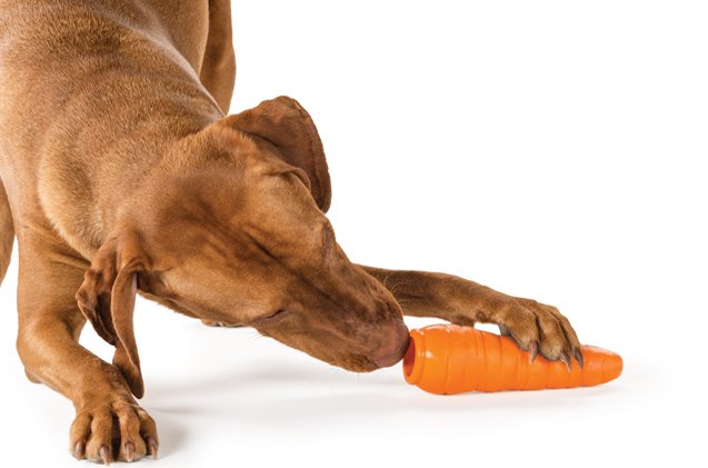 planet dog adds a new crop of carrots to its line of produce dog toys