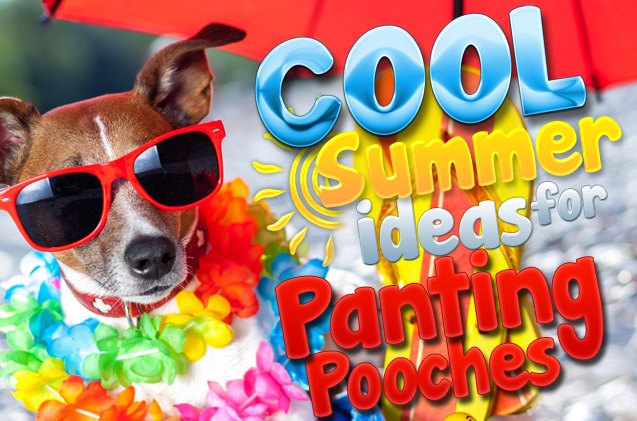 cool summer ideas for panting pooches