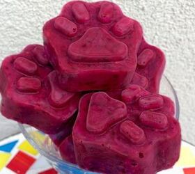 Frozen Mixed Summer Berry Dog Treat Recipe