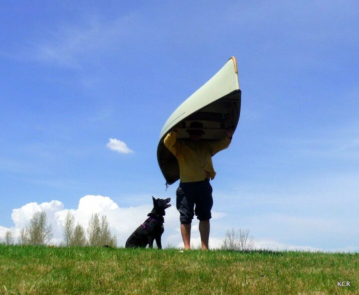 5 pet portaging tips for canoeing with your dog