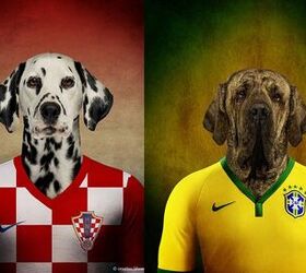 Dogs Wearing Soccer Jerseys Score With World Cup Fans