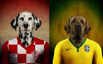 Dogs Wearing Soccer Jerseys Score With World Cup Fans