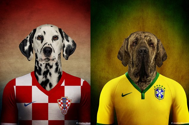 dogs wearing soccer jerseys score with world cup fans