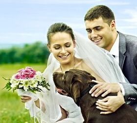 4 Blissful Tips On How To Include A Dog In Your Wedding