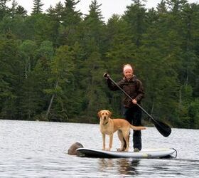 SUP: Stand Up Paddle Boarding With Your Dog