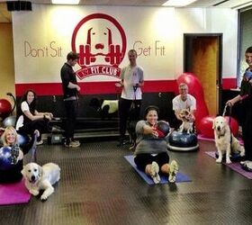 Fitness With Fido – Get Moving And Get Muttivated!