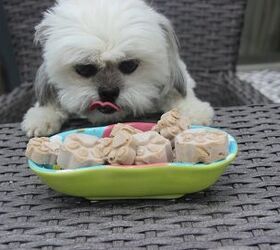 Top 5 Peanut Butter Dog Treat Recipes Part 2