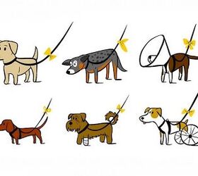 If Your Dog Needs Space, Tie A Yellow Ribbon Around His Leash