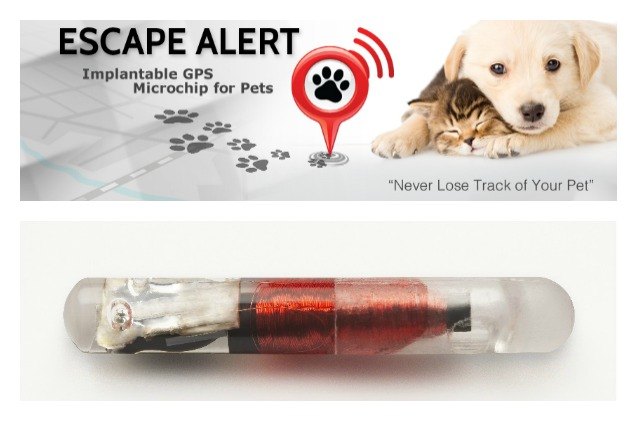 escape alert new kickstarter campaign for gps pet microchip starts september 23