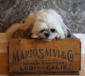 diy vintage crate dog and cat beds